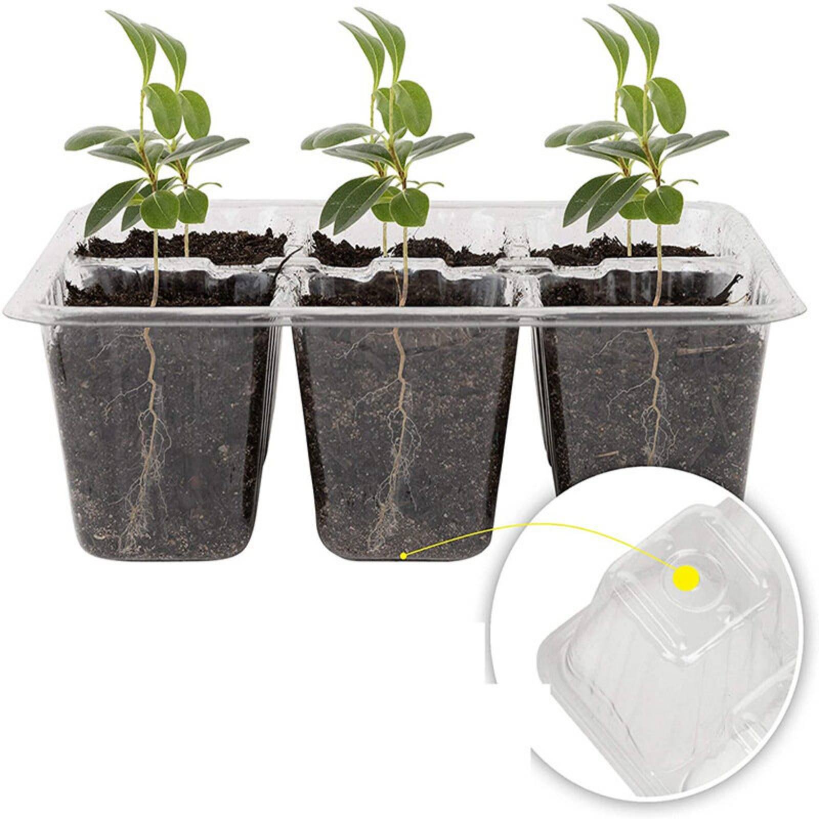 12 Compartment Germination Tra – Humidity Dome Kit recenzja i cena