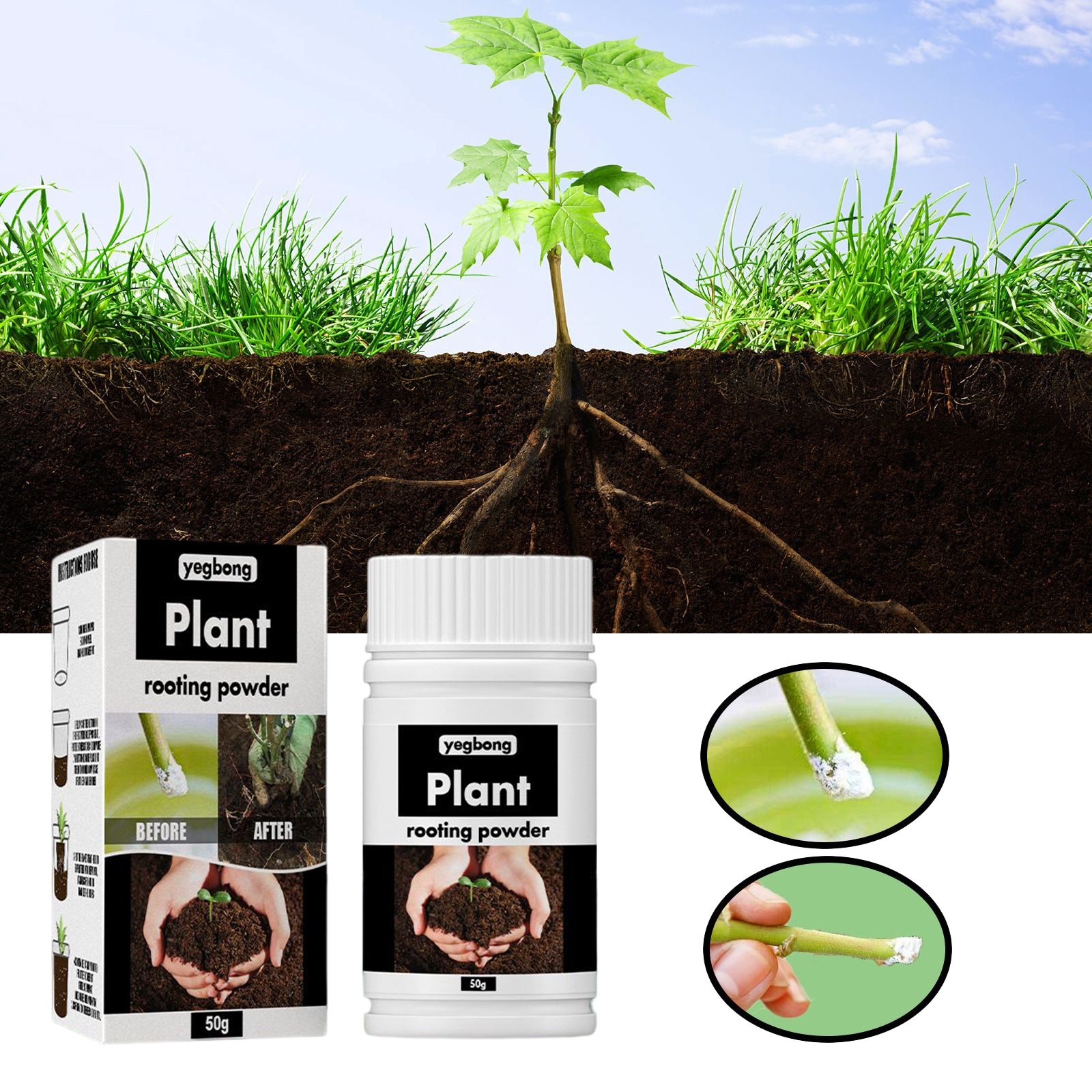 1Rare Plant Rooting Powder Pla – Rooting Hormone Powder recenzja i cena