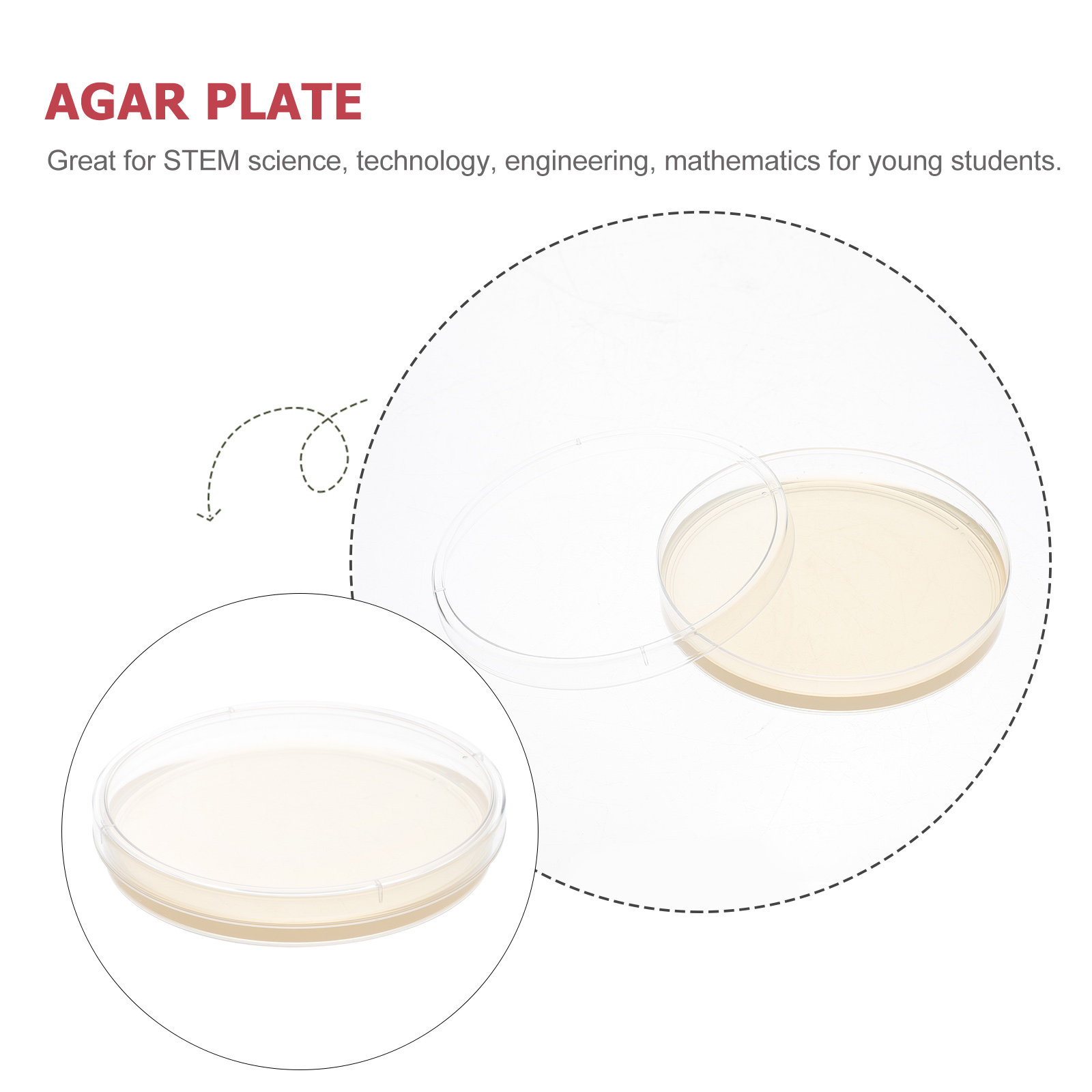10pcs Nutrient Agar Plates Pre – Agar Tissue Culture recenzja i cena