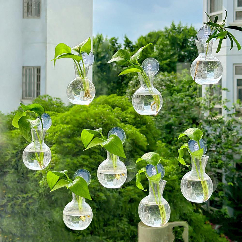 Window Planter Vase Window Pla – Propagation Station Vase recenzja i cena