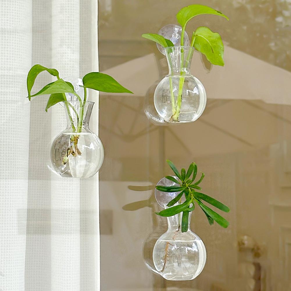 Window Planter Vase Window Pla – Propagation Station Vase recenzja i cena