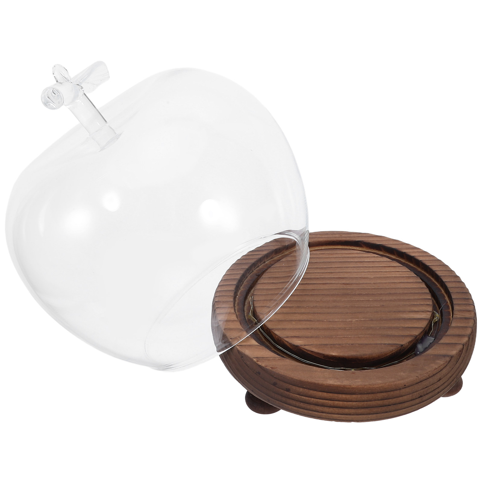 Clear Glass Dome Display with  – Plastic Dome Clear recenzja i cena