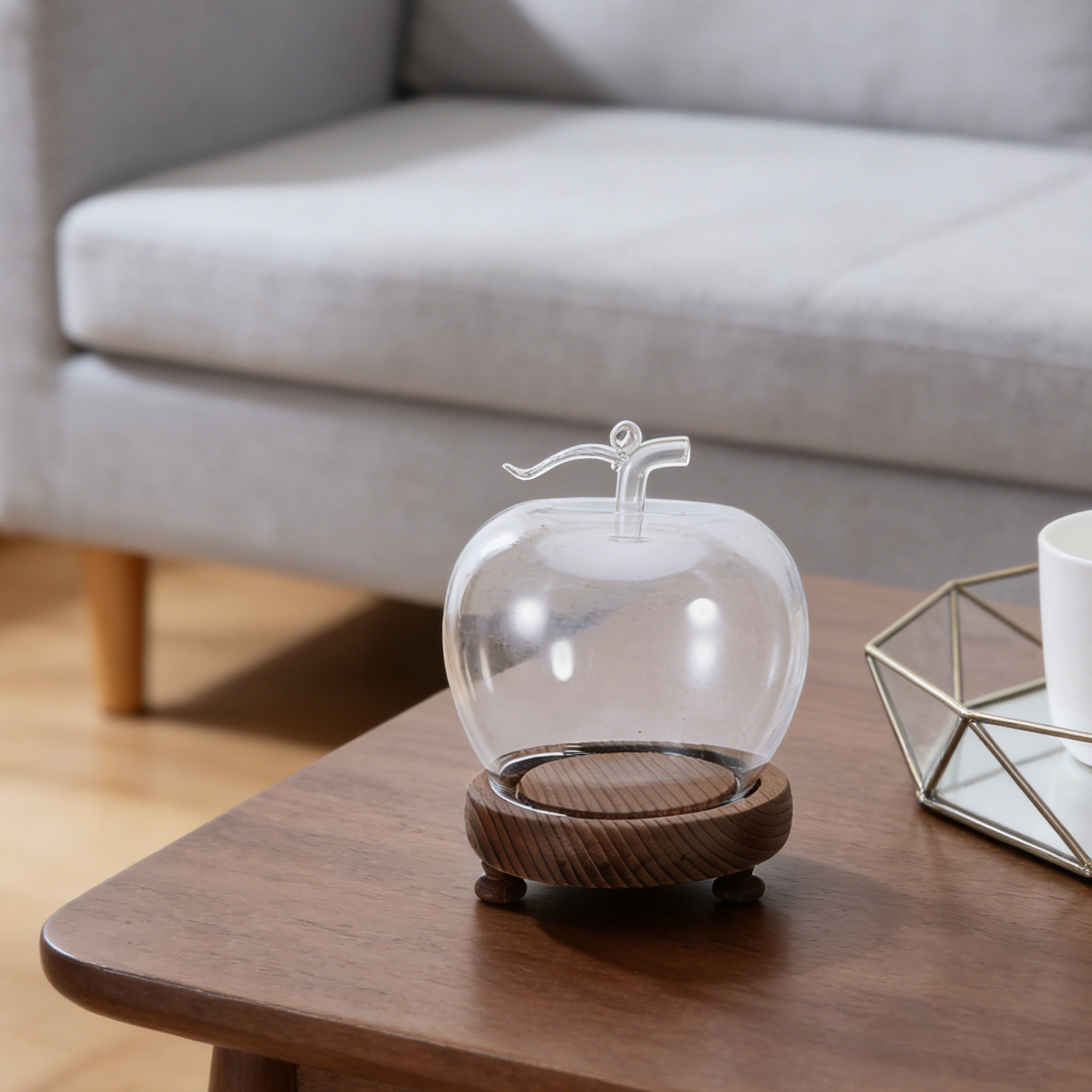 Clear Glass Dome Display with  – Plastic Dome Clear recenzja i cena
