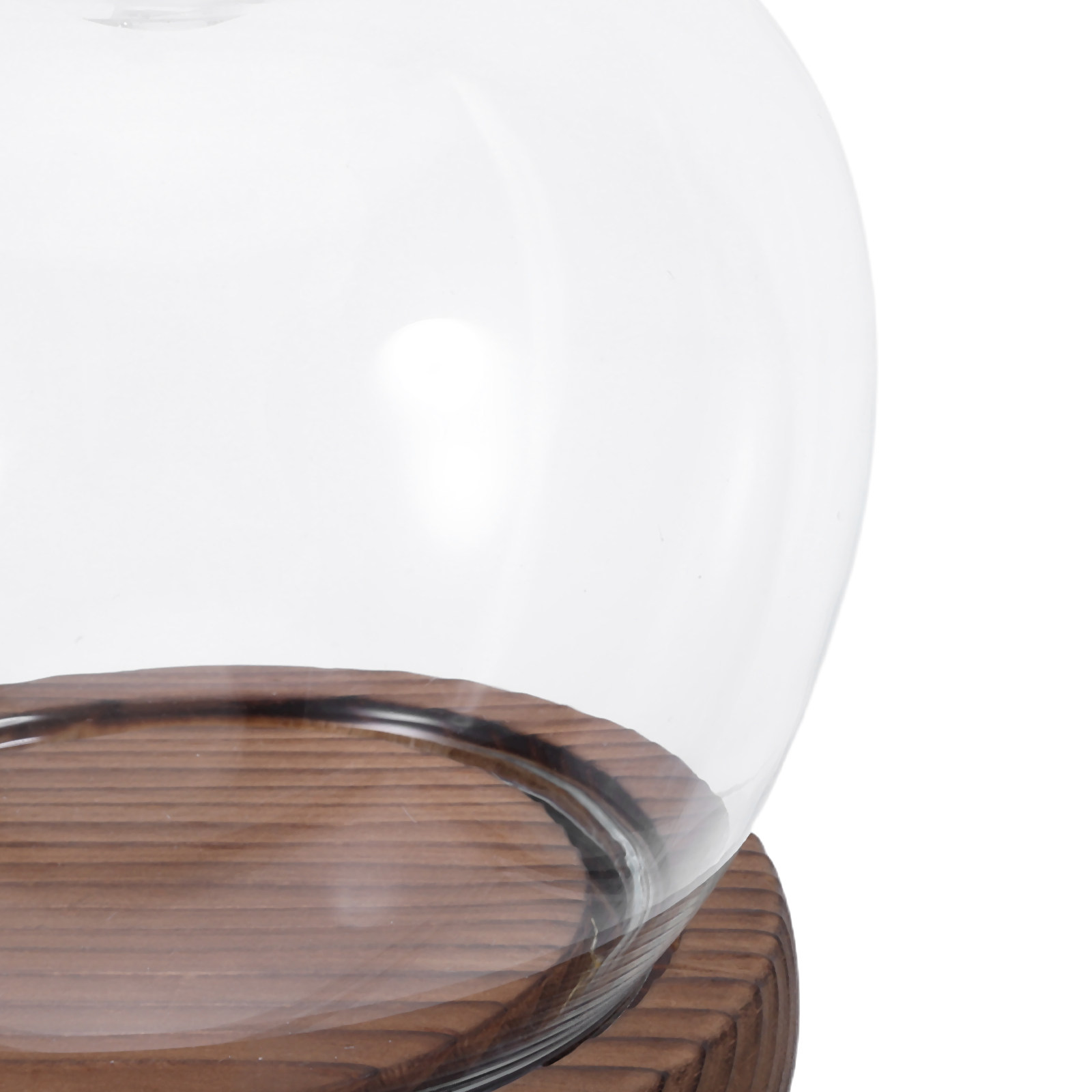 Clear Glass Dome Display with  – Plastic Dome Clear recenzja i cena