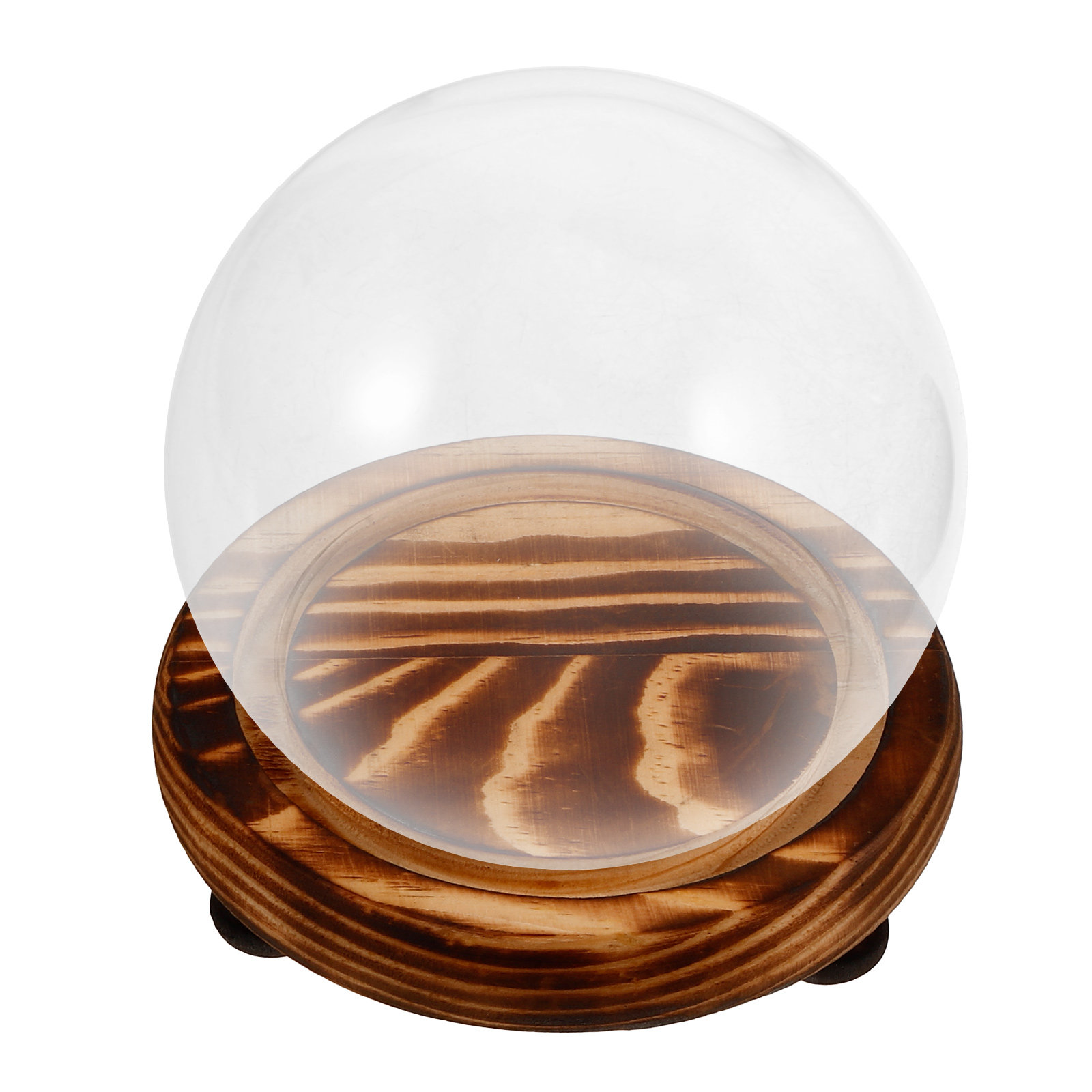 Glass Dome Display Case with W – Plastic Dome Clear recenzja i cena