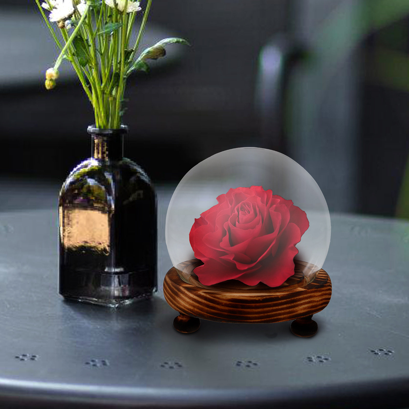 Glass Dome Display Case with W – Plastic Dome Clear recenzja i cena
