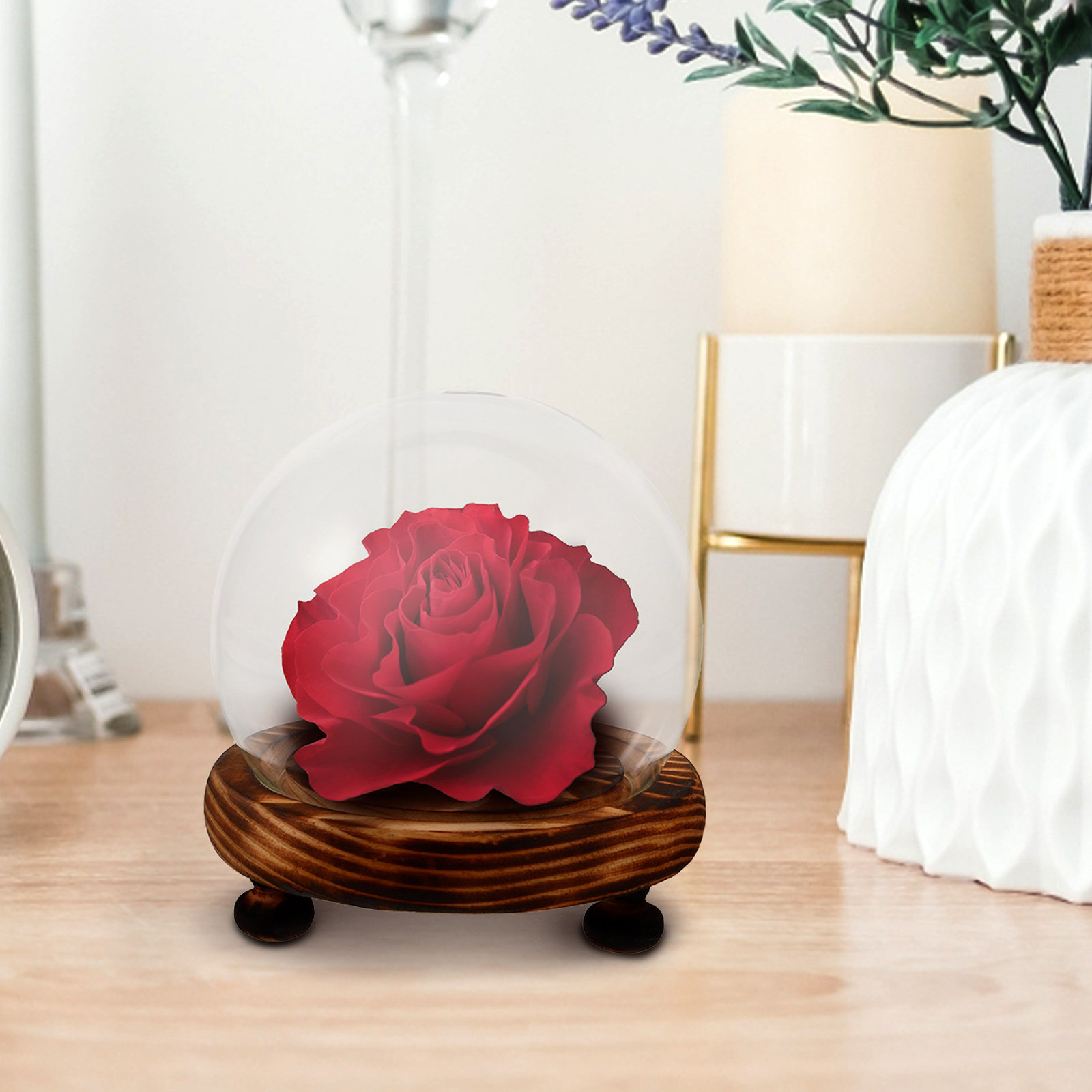 Glass Dome Display Case with W – Plastic Dome Clear recenzja i cena