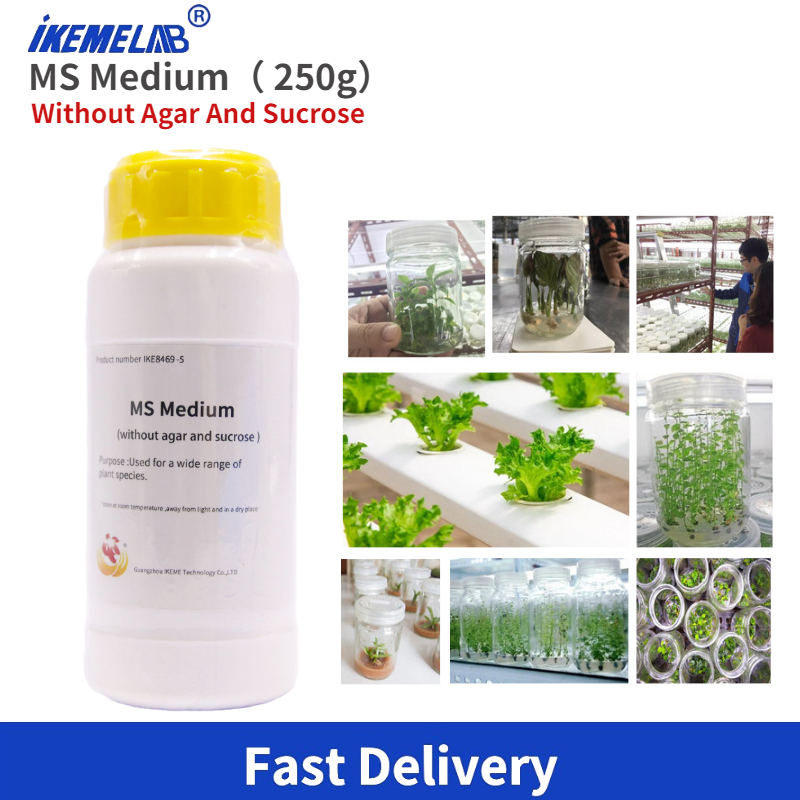 IKEME Lab MS Medium 250g Witho – Agar Tissue Culture recenzja i cena
