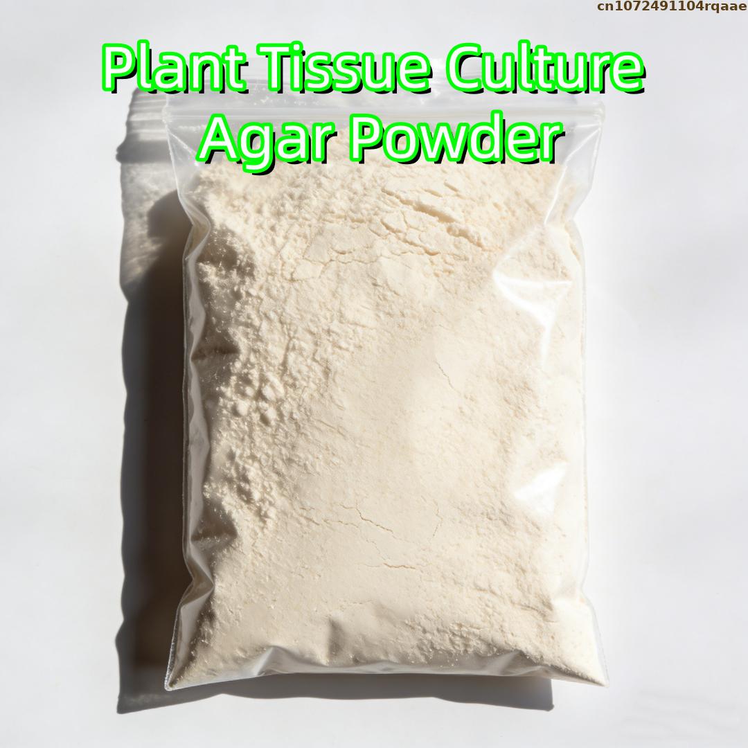 Premium Plant Tissue Culture A – Agar Tissue Culture recenzja i cena