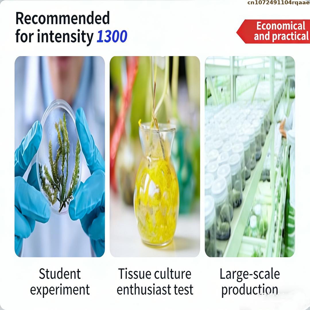 Premium Plant Tissue Culture A – Agar Tissue Culture recenzja i cena