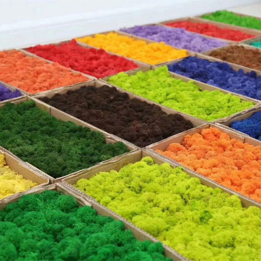 Artificial Green Plants Mini L – Sphagnum Moss Dry recenzja i cena