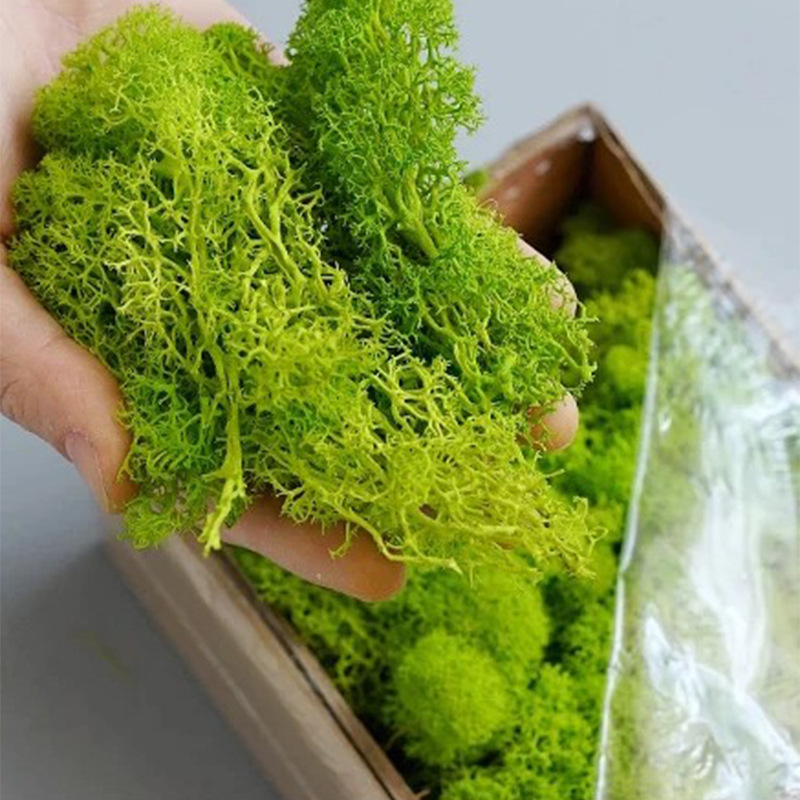 Artificial Green Plants Mini L – Sphagnum Moss Dry recenzja i cena