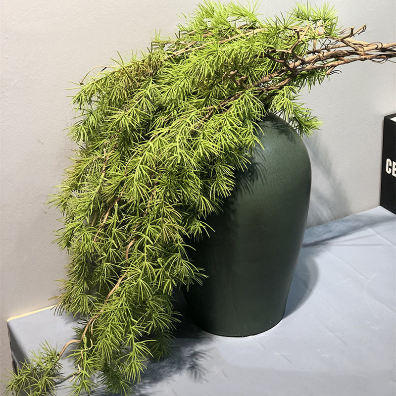 New Pine Needle Vine Wall Hang – Sphagnum Moss Dry recenzja i cena