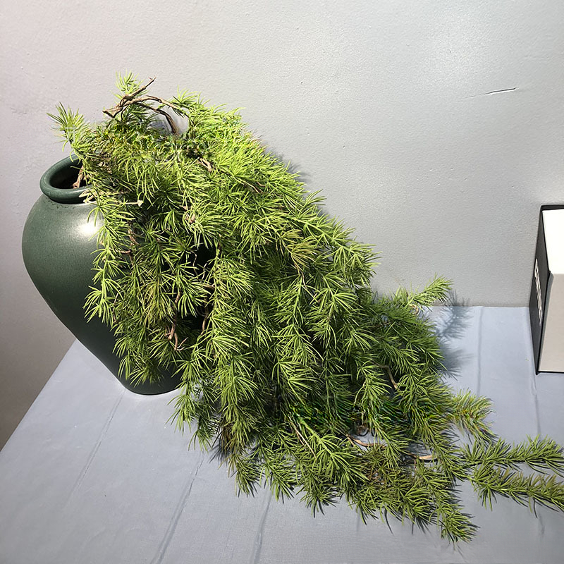 New Pine Needle Vine Wall Hang – Sphagnum Moss Dry recenzja i cena
