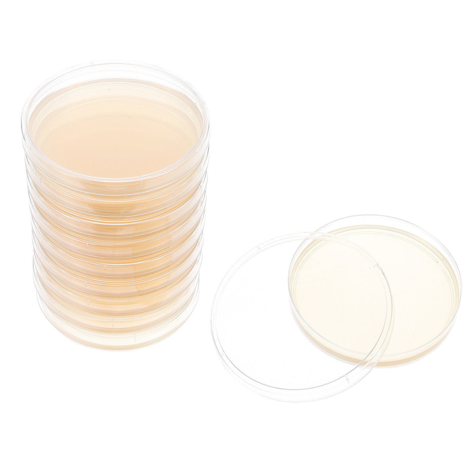 10pcs Nutrient Agar Plates Pre – Agar Tissue Culture recenzja i cena