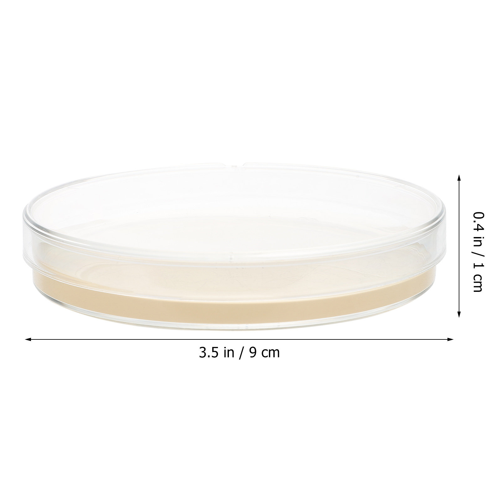 10pcs Nutrient Agar Plates Pre – Agar Tissue Culture recenzja i cena