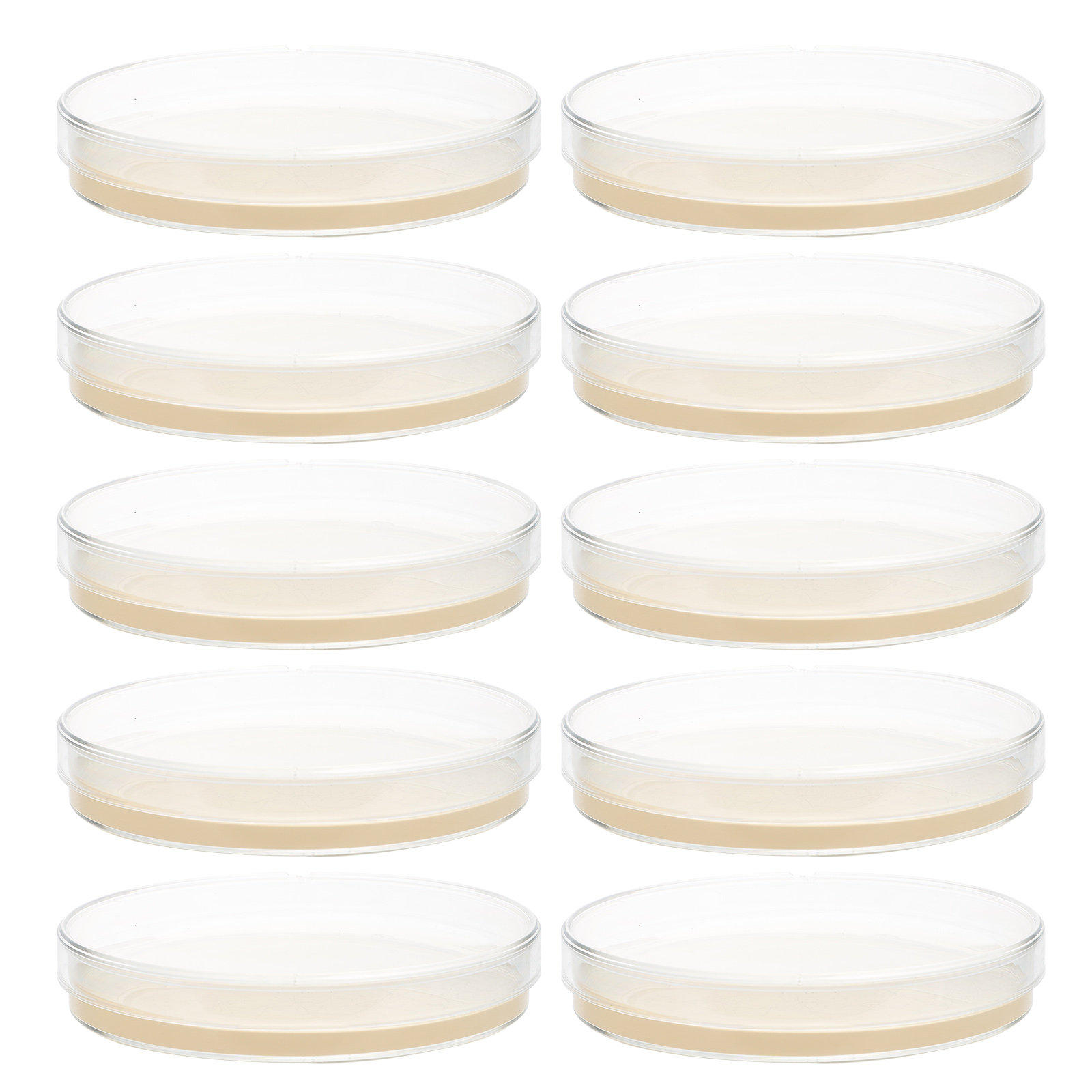 10pcs Nutrient Agar Plates Pre – Agar Tissue Culture recenzja i cena
