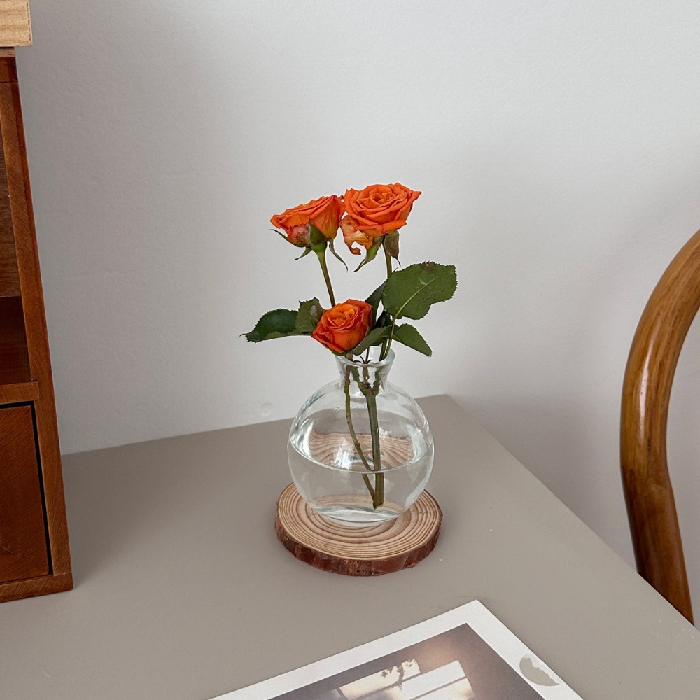 Creative Transparent Mini Flow – Propagation Station Vase recenzja i cena