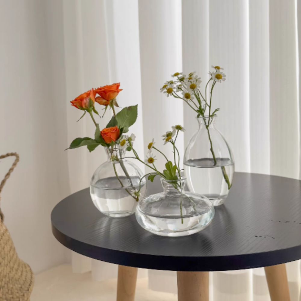 Creative Transparent Mini Flow – Propagation Station Vase recenzja i cena