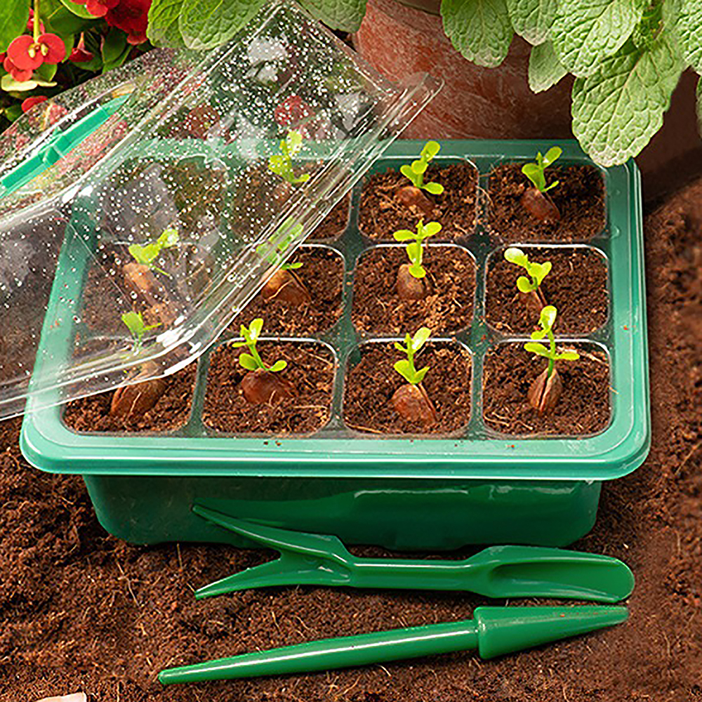 Seed Starter Trays with Grow L – Humidity Dome Kit recenzja i cena