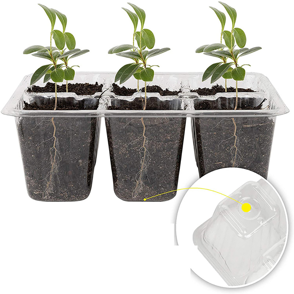 Seed Starter Trays with Grow L – Humidity Dome Kit recenzja i cena