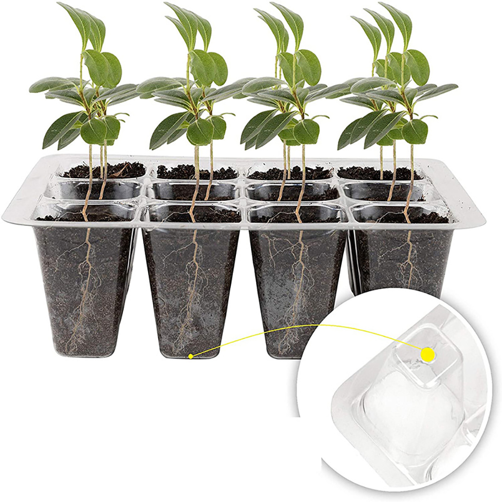 Seed Starter Trays with Grow L – Humidity Dome Kit recenzja i cena
