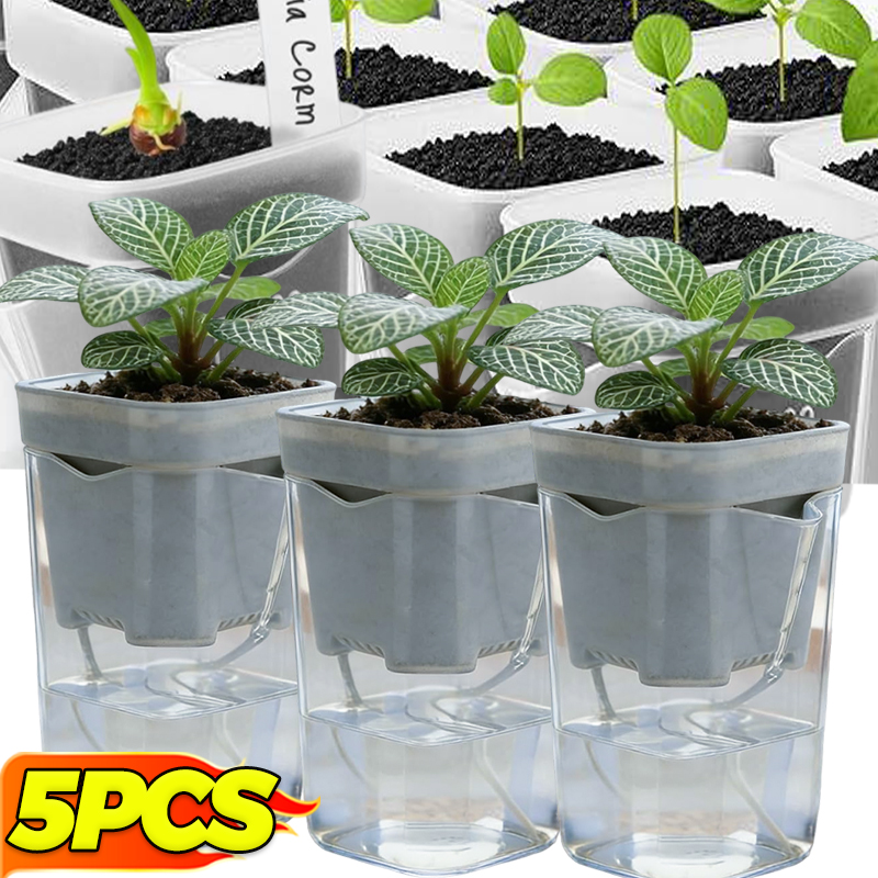 Transparent Flower Plant Pot S – Self Watering Insert recenzja i cena