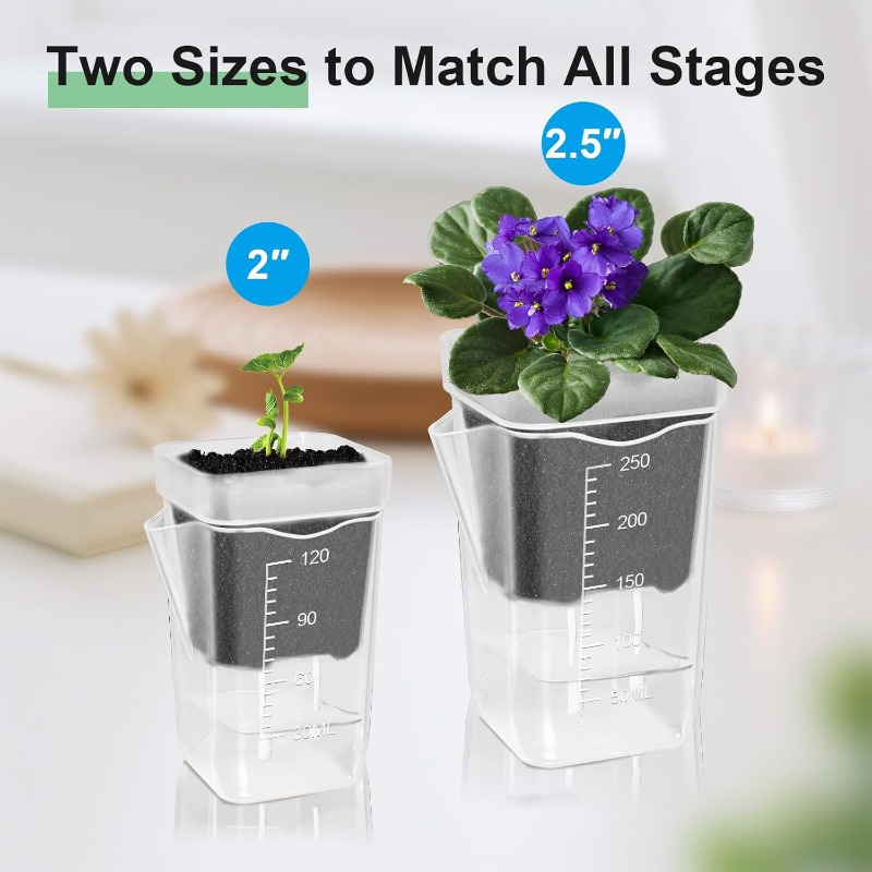 Transparent Flower Plant Pot S – Self Watering Insert recenzja i cena