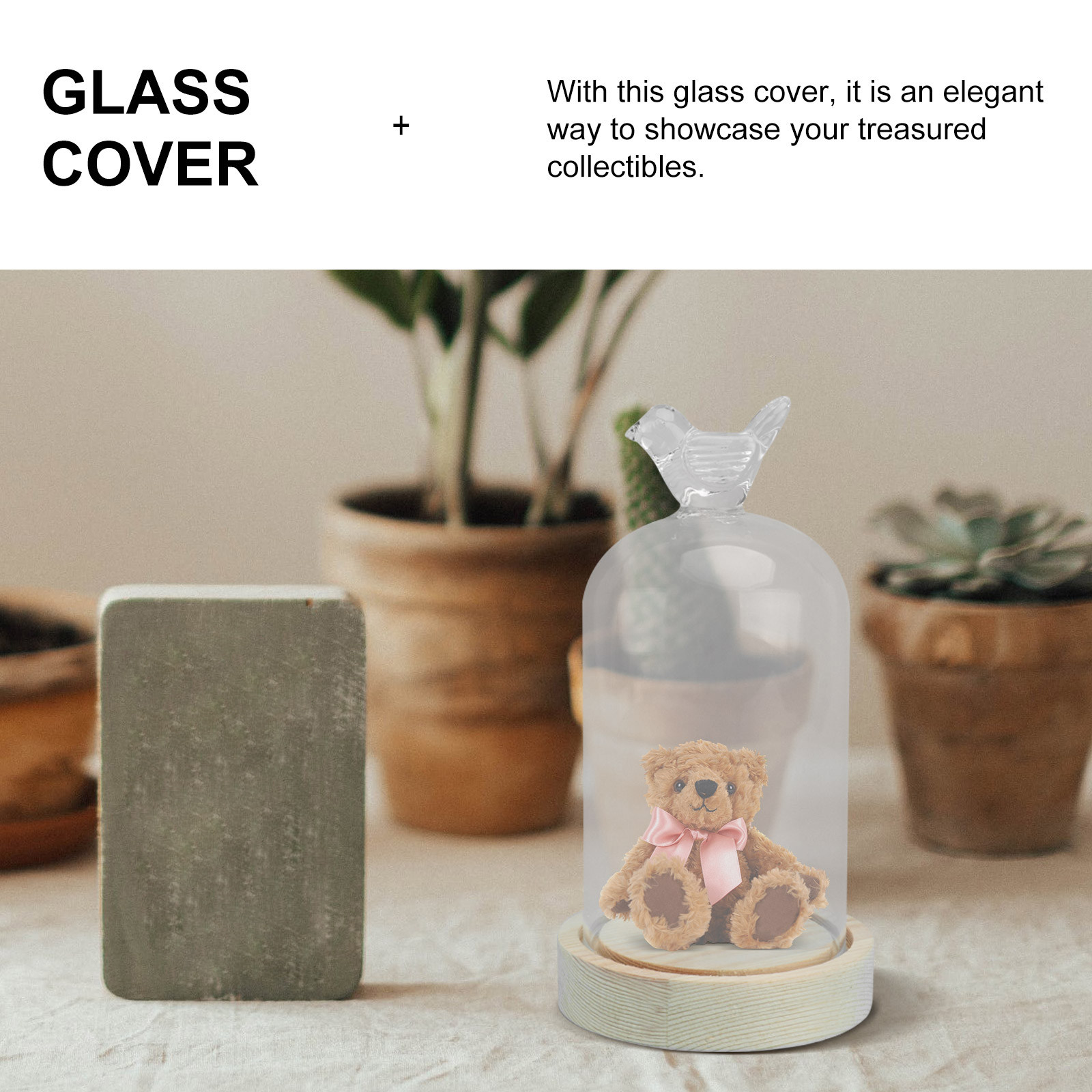 1Pcs Mini Glass Dome Cover Bir – Plastic Dome Clear recenzja i cena