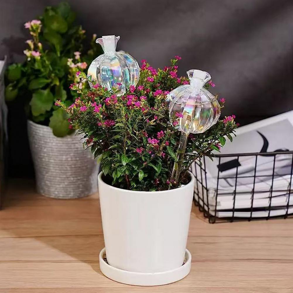 24cm Cactus Self Watering Bulb – Self Watering Insert recenzja i cena