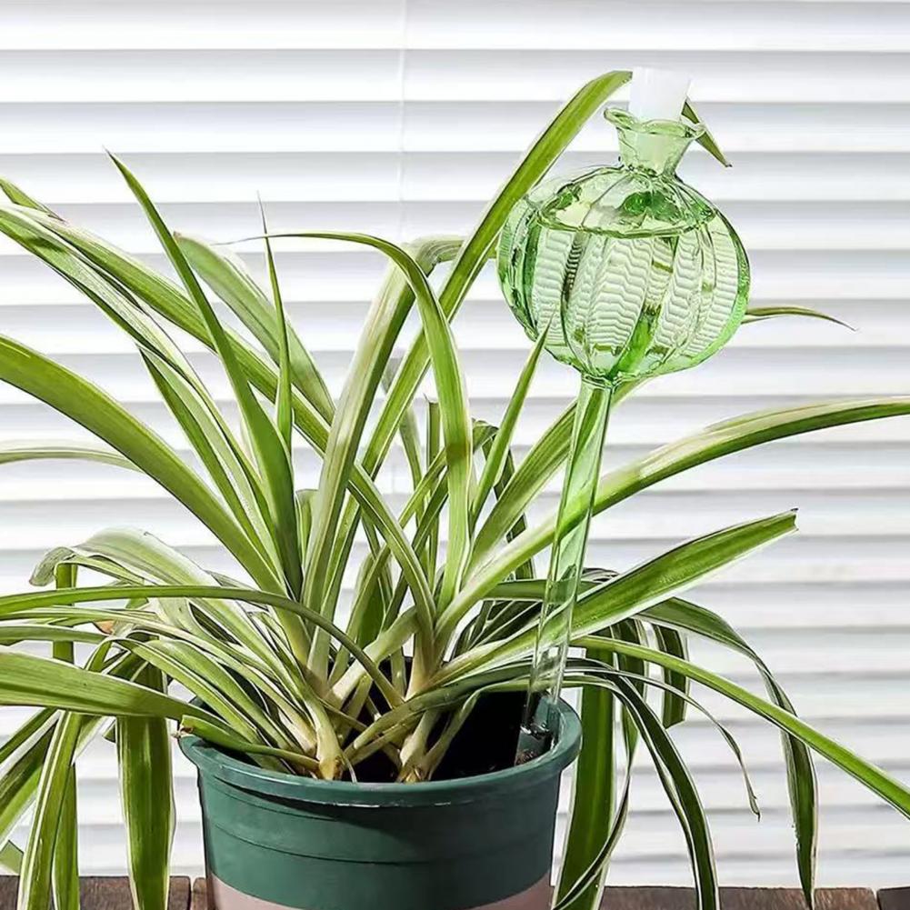 24cm Cactus Self Watering Bulb – Self Watering Insert recenzja i cena