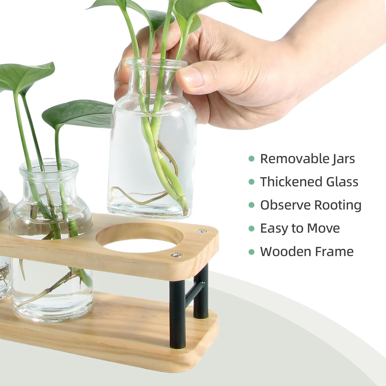 Propagation Station with Woode – Propagation Station Vase recenzja i cena
