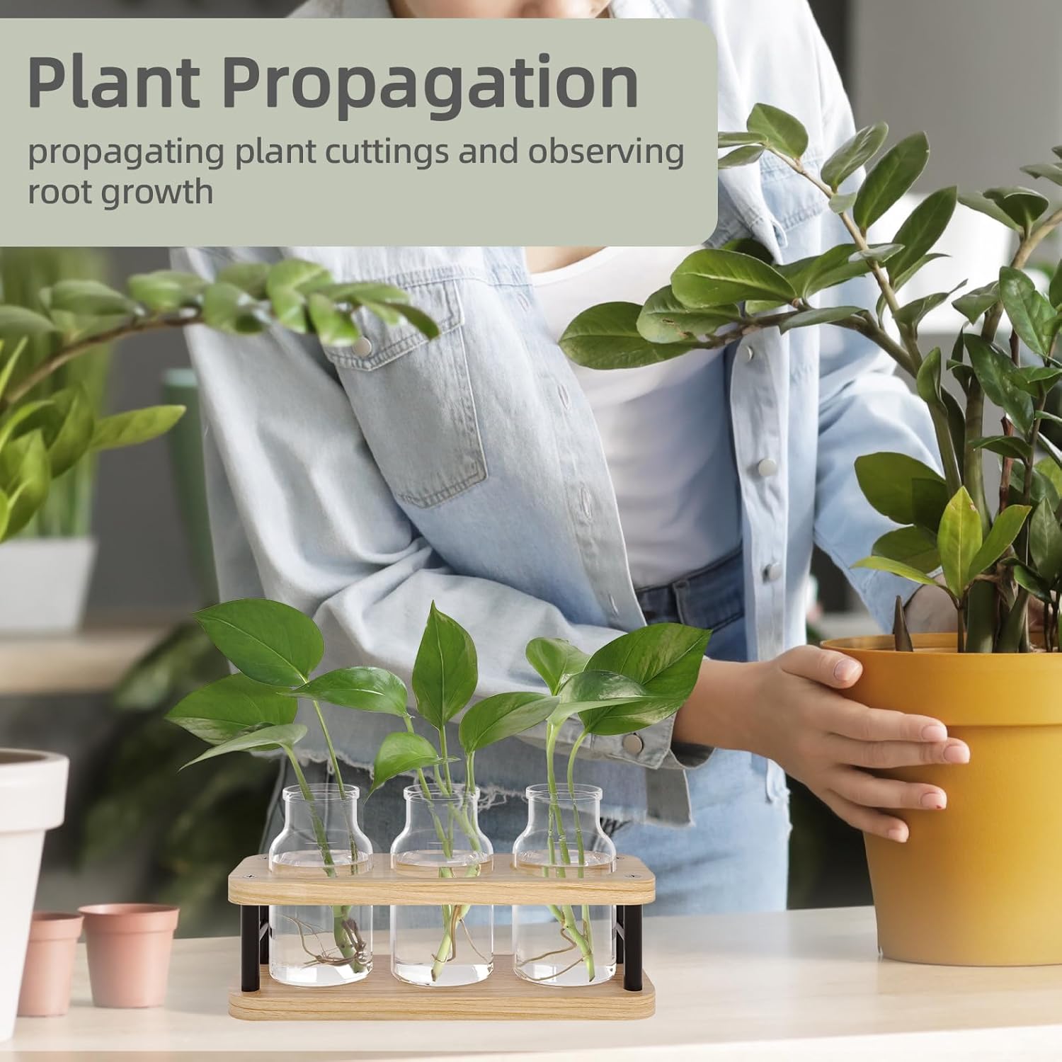 Propagation Station with Woode – Propagation Station Vase recenzja i cena