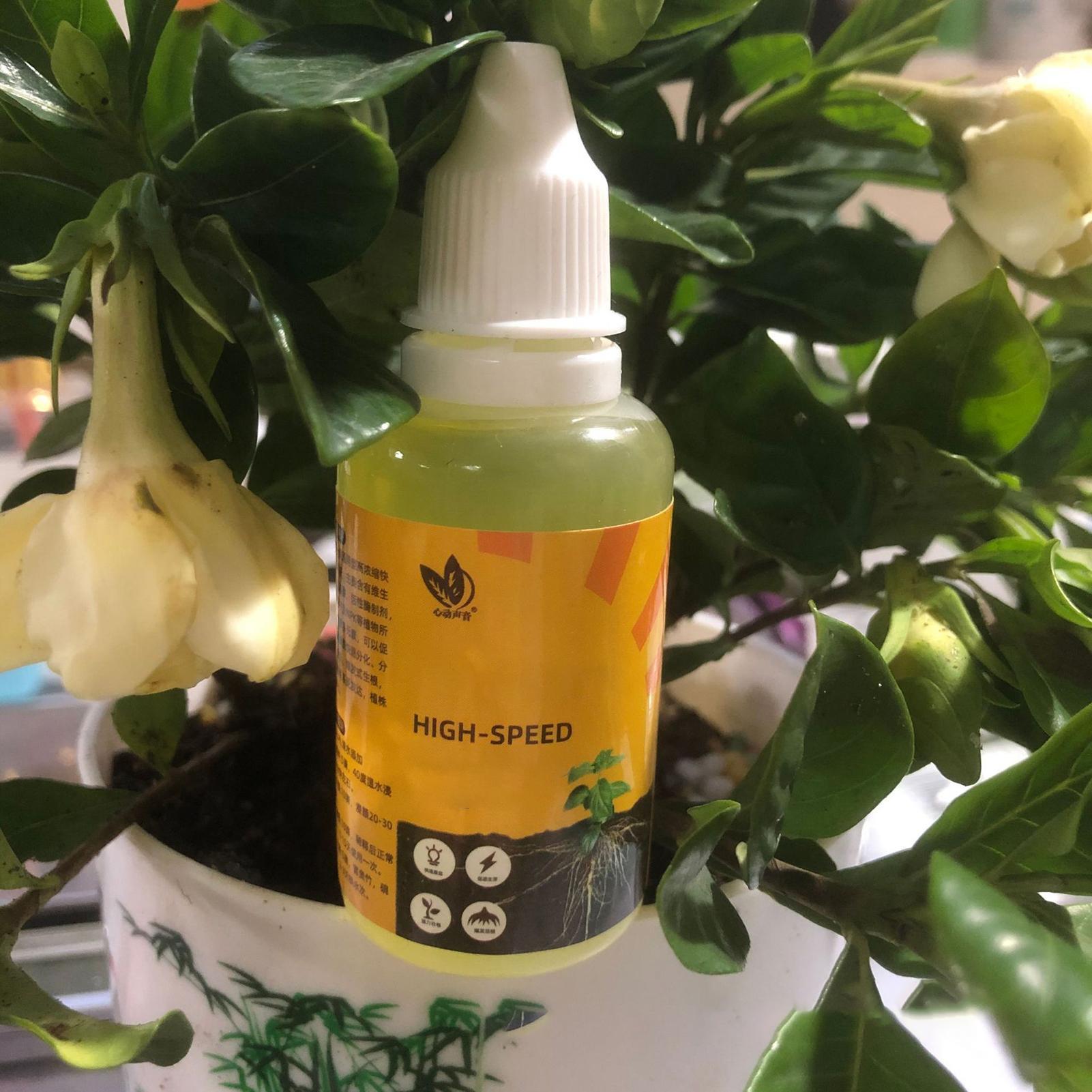 50ml Plant Rooting Stimulator  – Root Stimulator Liquid recenzja i cena
