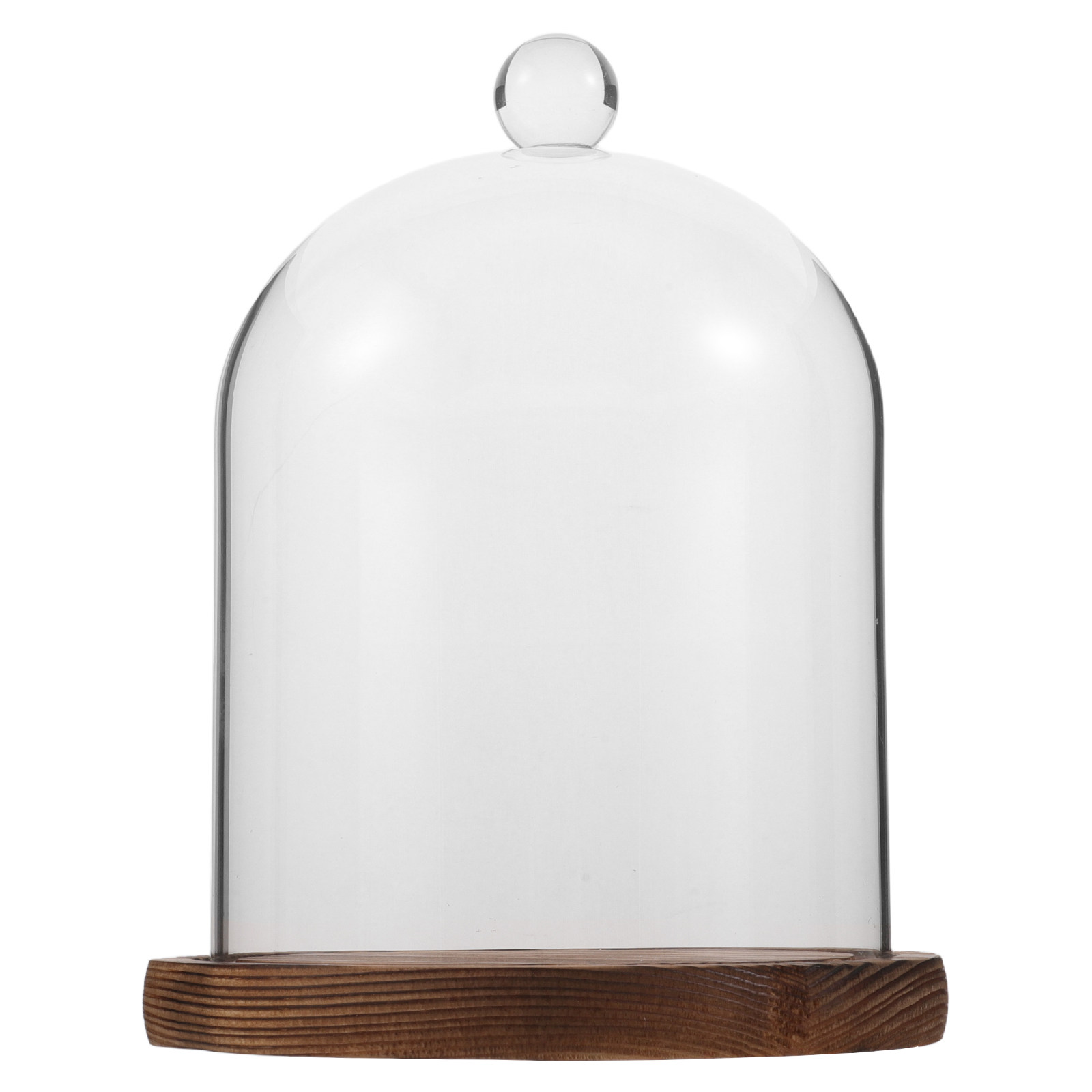 Clear Glass Bell Jar Dome for  – Plastic Dome Clear recenzja i cena