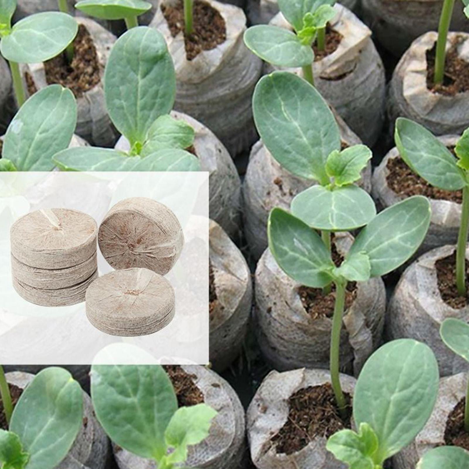 100 Piece Potting Mix Trays 30 – Peat Pellet Tray recenzja i cena