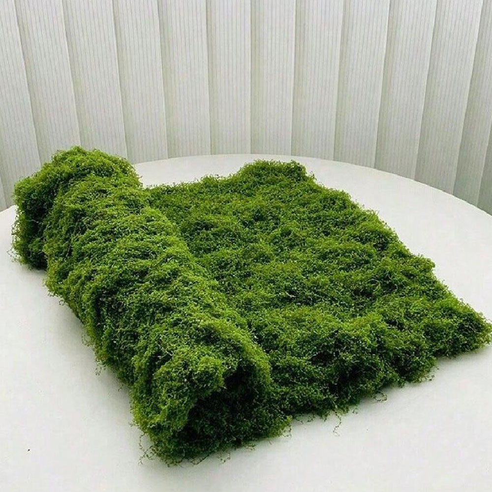 1*1m Fake Moss DIY Crafts Gras – Sphagnum Moss Dry recenzja i cena