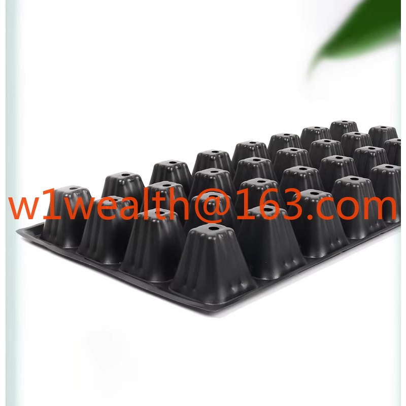 DD3198   72 Cell 100G Garden G – Propagation Tray 72 recenzja i cena