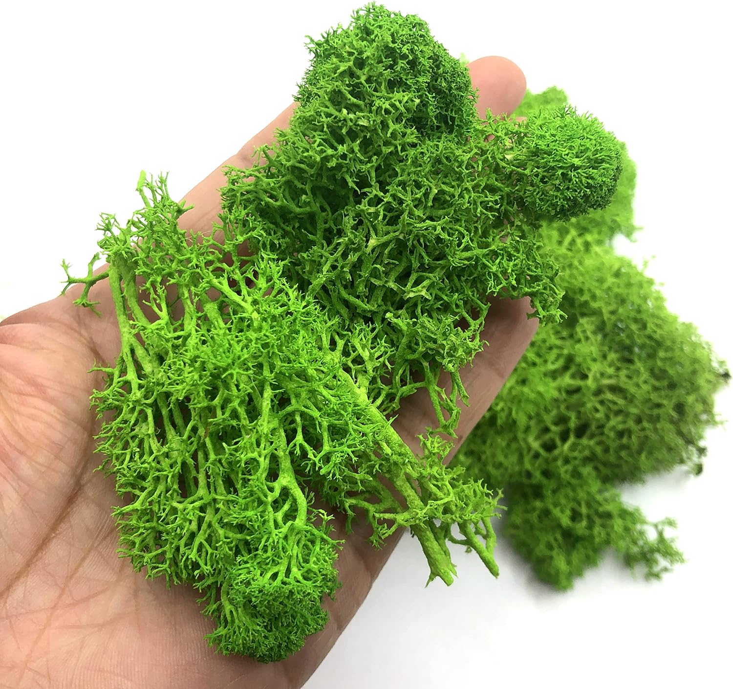 200g Artificial Green Plants M – Sphagnum Moss Dry recenzja i cena