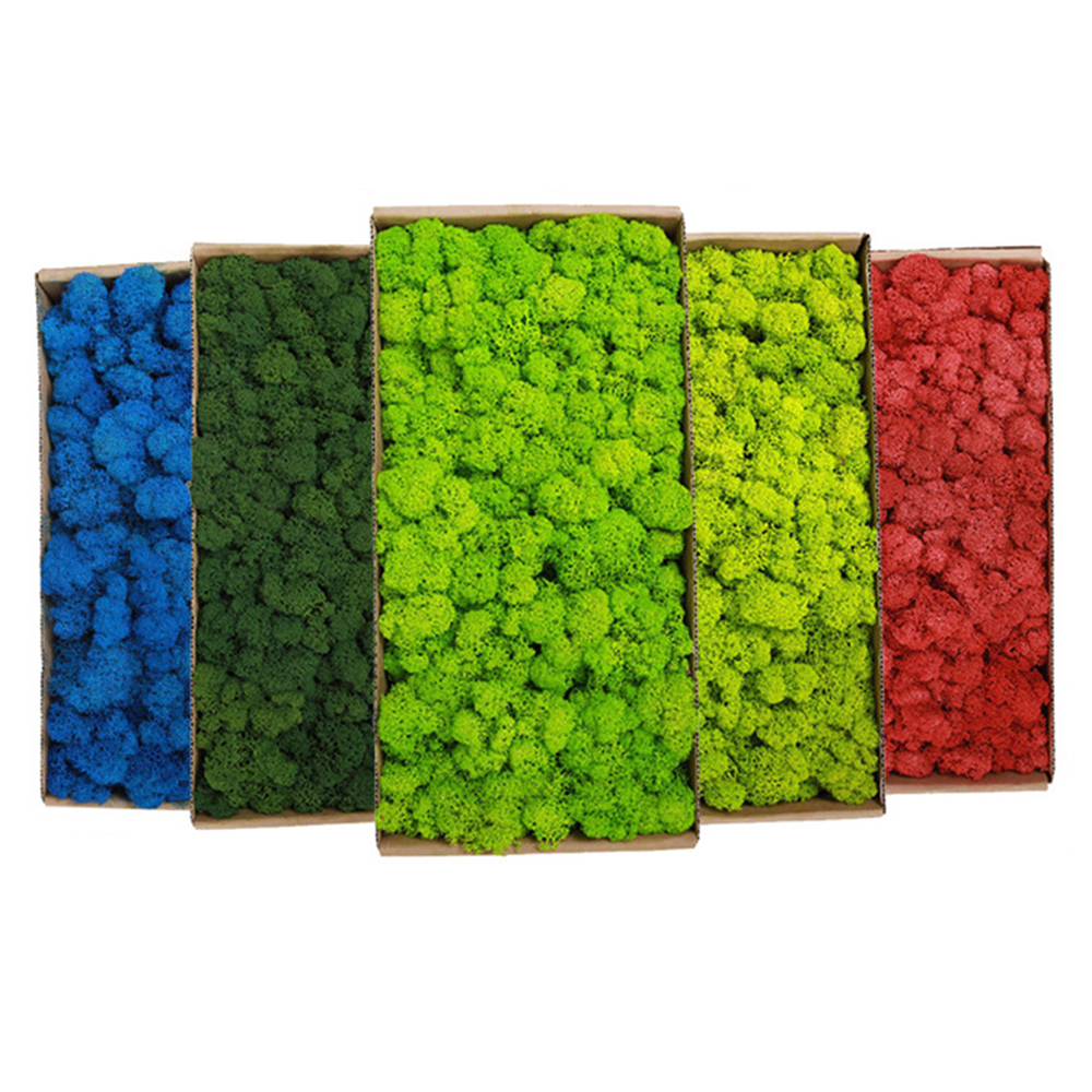 200g Artificial Green Plants M – Sphagnum Moss Dry recenzja i cena