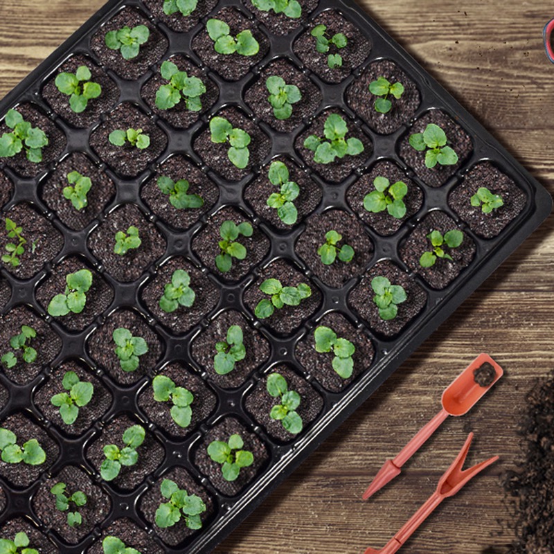 ABGH-10 Pack Seed Starter Tray – Propagation Tray 72 recenzja i cena