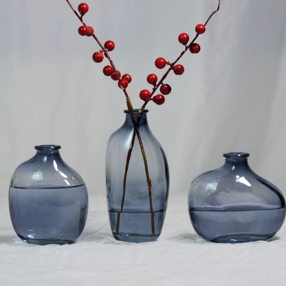 Fashion Retro Flower Vase Glas – Propagation Station Vase recenzja i cena
