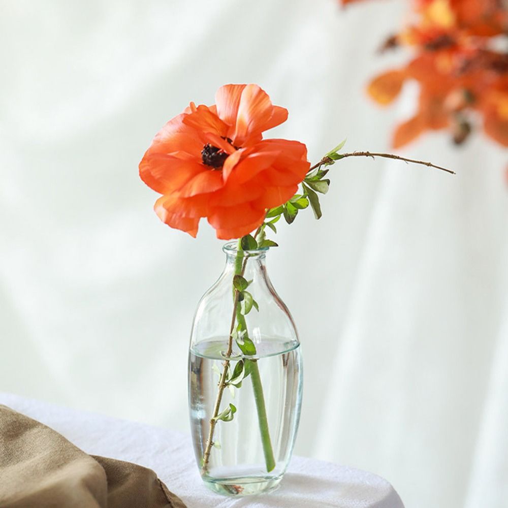 Fashion Retro Flower Vase Glas – Propagation Station Vase recenzja i cena