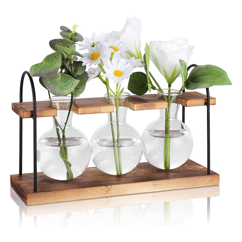 Plant Propagation Station with – Propagation Station Vase recenzja i cena