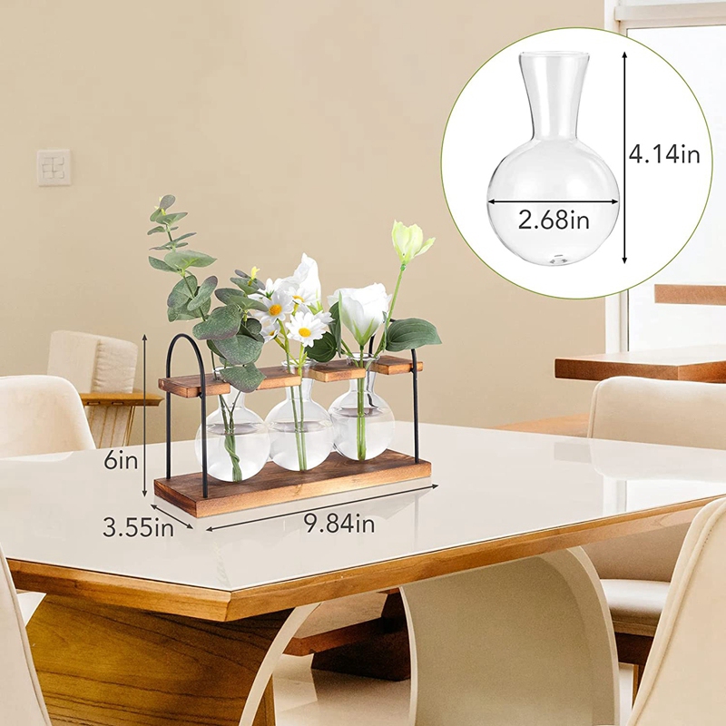 Plant Propagation Station with – Propagation Station Vase recenzja i cena