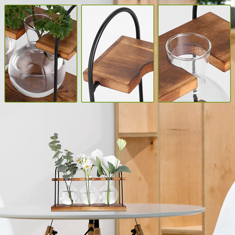 Plant Propagation Station with – Propagation Station Vase recenzja i cena