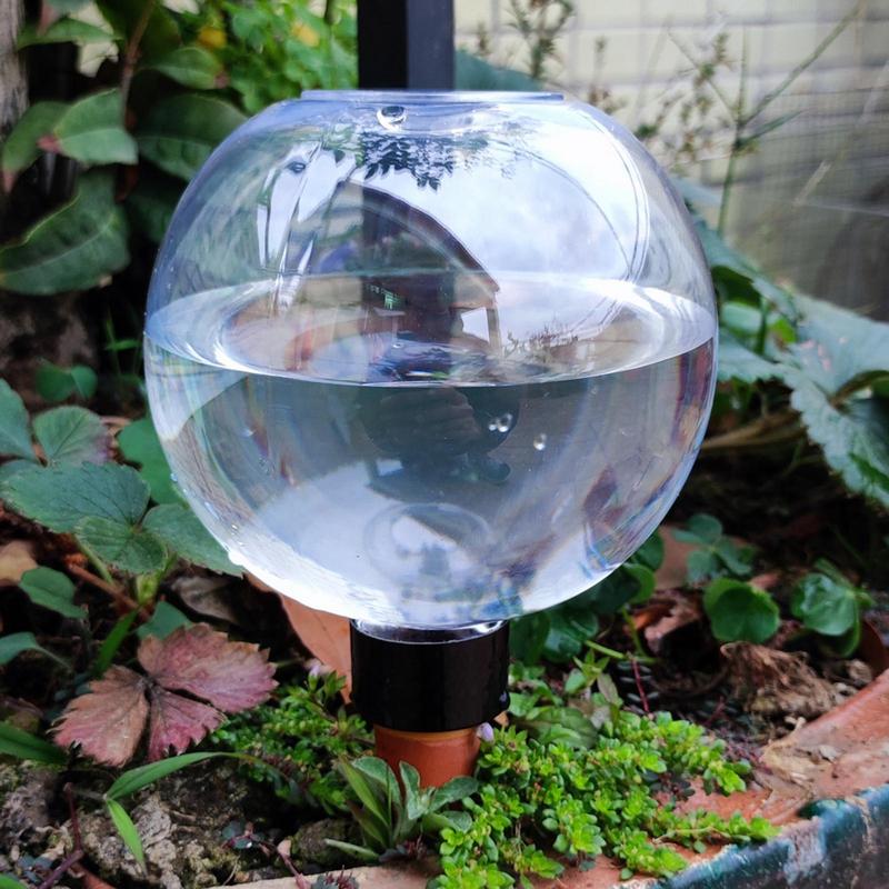 Plant Watering Bulbs Automatic – Self Watering Insert recenzja i cena