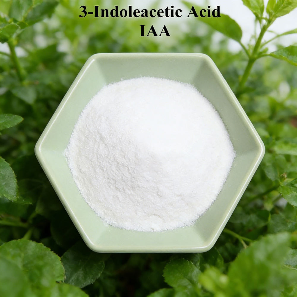 3-indoleacetic Acid IAA Auxina – Rooting Hormone Powder recenzja i cena
