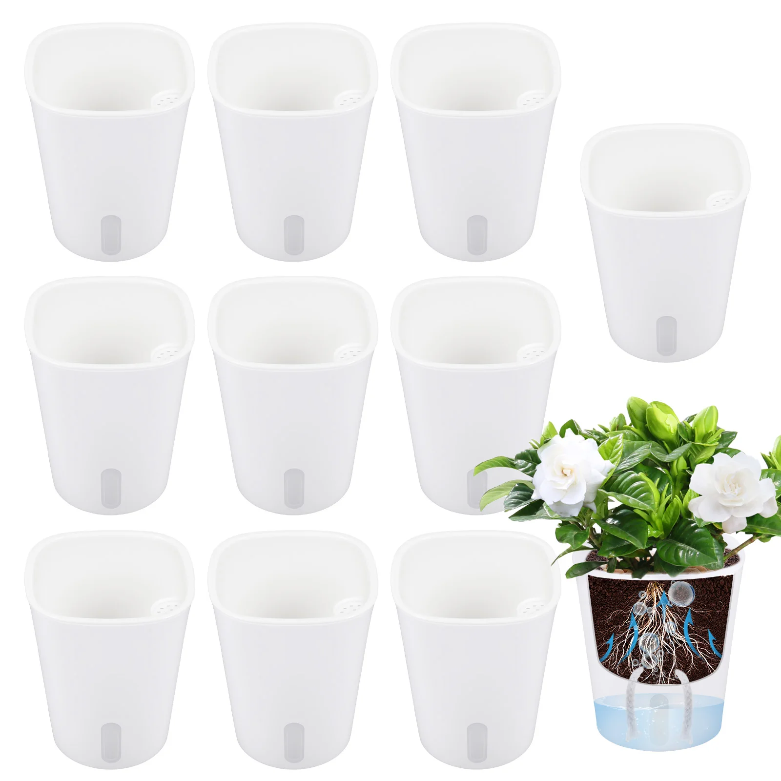 10 Pcs Self Watering Planter L – Self Watering Insert recenzja i cena