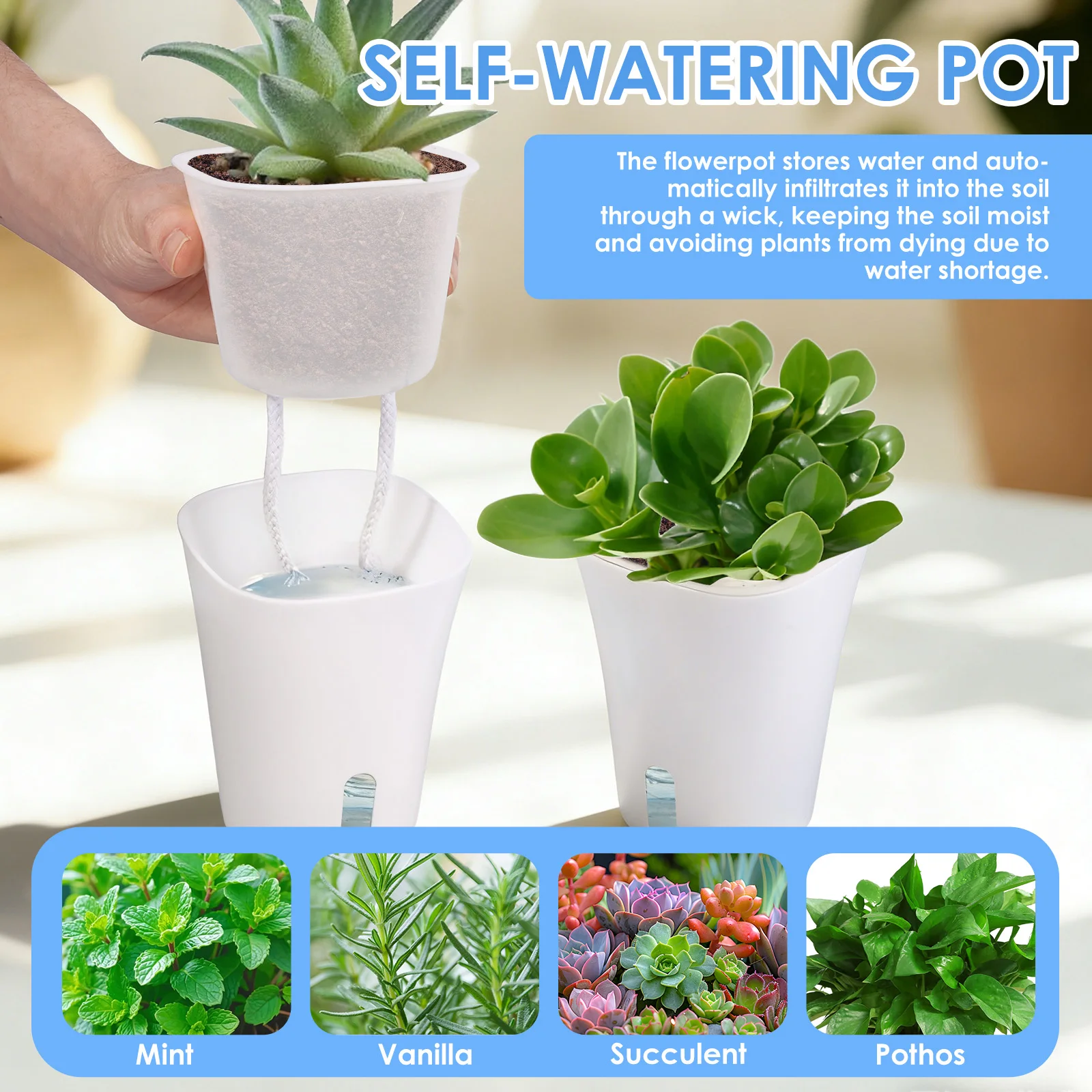 10 Pcs Self Watering Planter L – Self Watering Insert recenzja i cena
